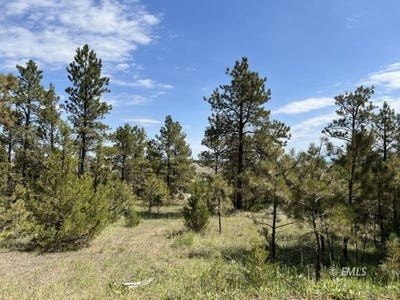 /international/us/ridge-dr-miles-city-mt-110101209705/