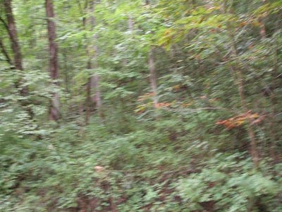 /international/us/0-db-702-dp-418-prater-creek-hueysville-ky-110101347673/?lang=zh-tw