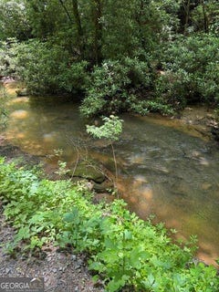 /international/us/lot-2-kells-rdg-ellijay-ga-110108544243/
