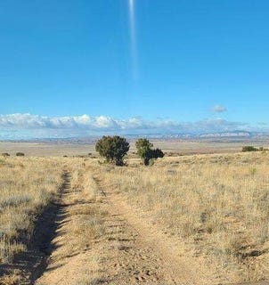 /international/us/tren-lot-2-road-los-lunas-nm-110106095558/