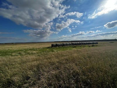 /international/us/1438-county-road-438-thorndale-tx-110093311996/?lang=zh-cn