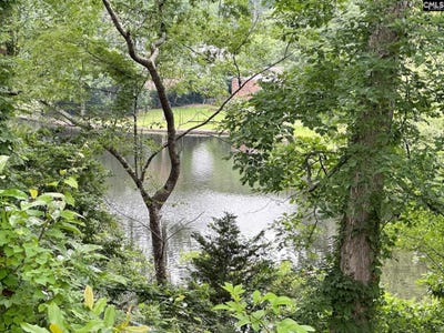 /international/us/3319-overcreek-road-columbia-sc-110101595300/