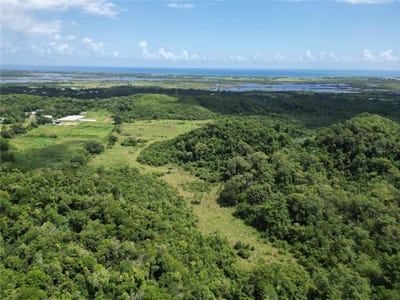 /international/us/pr-682-km-6-5-int-garrochales-ward-arecibo-pr-110104822036/