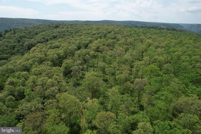 /international/us/6-beech-creek-mountain-road-beech-creek-pa-110099677705/