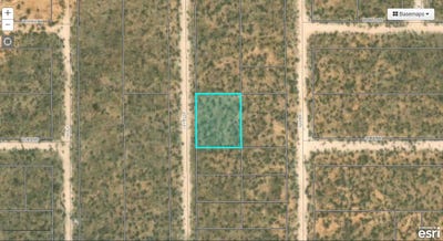 /international/us/ophelia-el-paso-tx-110109477497/