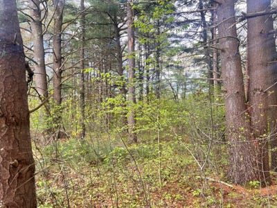 /international/us/0-laflure-lane-keeseville-ny-110096183106/