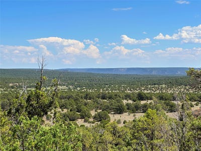 /international/us/tierra-de-dios-lot-7-rowe-nm-110104971628/