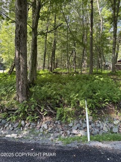 /international/us/oak-terr-227-pocono-lake-pa-110101102778/?lang=de