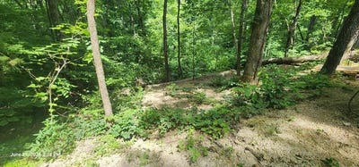 /international/us/730-lakeview-trail-holladay-tn-110108988706/