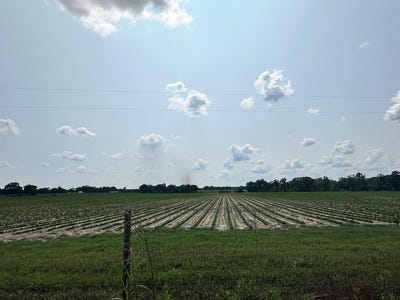 /international/us/10-acres-lot-13-fondren-rd-slocomb-al-110099922224/?lang=zh-tw