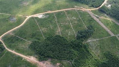 /international/us/ridge-road-lot-9-seale-al-110094546657/