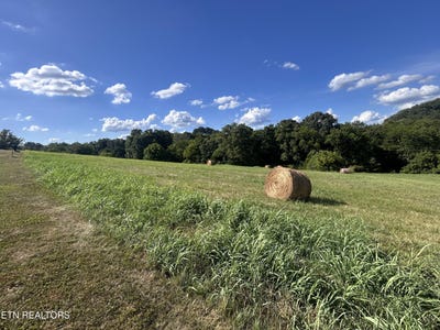 /international/us/lot-8c-river-ranch-blaine-tn-110101230863/?lang=pt