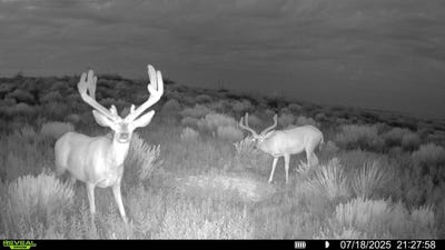 /international/us/tbd-road-aa-lakin-ks-110100948173/?lang=zh-tw