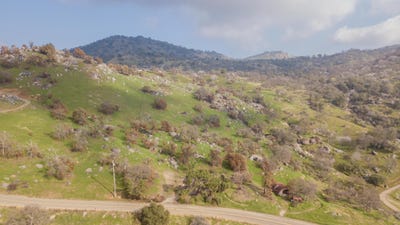 /international/us/0-pepperweed-yokuts-valley-ca-110098582204/?lang=zh-tw