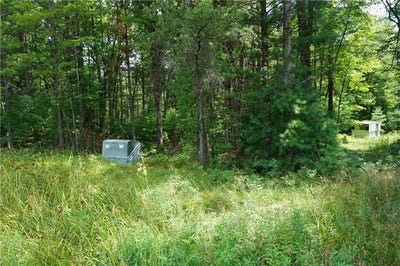 /international/us/n9390-county-road-e-merrillan-wi-110101365256/?lang=en