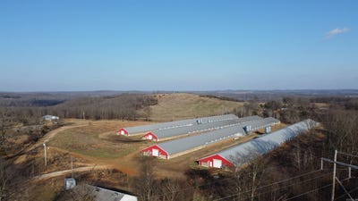 /international/us/498-lawrence-100-ravenden-ar-110105035737/