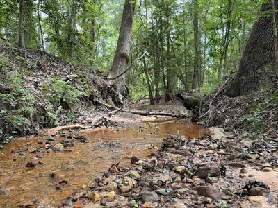 /international/us/county-road-2229-douglassville-tx-110108717792/