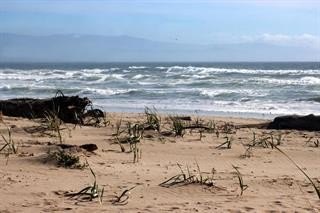 /international/us/53-pelican-pt-watsonville-ca-110108222296/