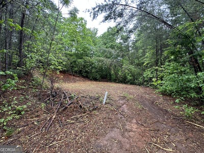/international/us/toole-street-clayton-ga-110107832688/