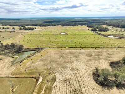 /international/us/000-shady-land-fossil-ridge-trail-idabel-ok-110105980326/