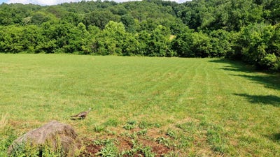 /international/us/350-n-vfw-road-bulls-gap-tn-110100720968/?lang=zh-tw
