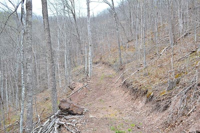 /international/us/snake-run-rd-dawson-wv-110107305583/