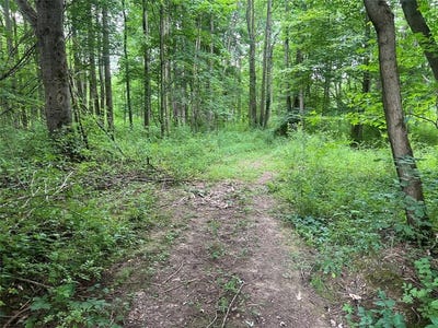/international/us/3-acres-on-3-acres-on-phelps-road-conneaut-twp-pa-110100915618/