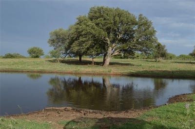 /international/us/16101-fm-500-san-saba-tx-110095458717/?lang=zh-tw