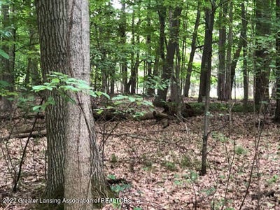 /international/us/driftwood-drive-dewitt-mi-110074295527/