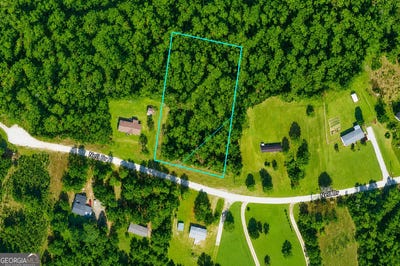 /international/us/1-99-acres-nell-drive-blythe-ga-110108333792/