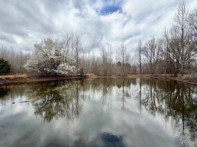 /international/us/9870-moose-rd-millington-tn-110106702359/