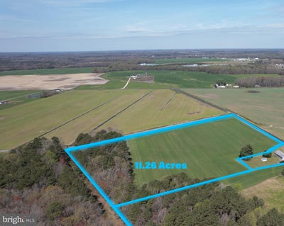 /international/us/lot-1b-melson-road-bridgeville-de-110091522022/