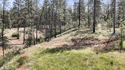 /international/us/nka-lower-weaver-way-lot-c-deer-park-wa-110100625149/