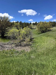 /international/us/11-tower-ridge-drive-devils-tower-wy-110099094460/