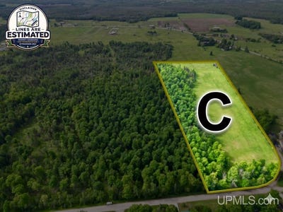 /international/us/river-j-5-parcel-c-lane-cornell-mi-110108918833/