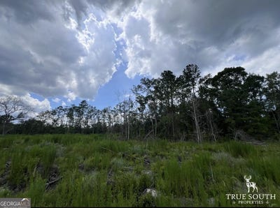 /international/us/2800-youngs-island-rd-nw-townsend-ga-110101038750/