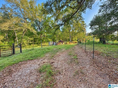 /international/us/county-road-319-lot-2-stanton-al-110120086648/