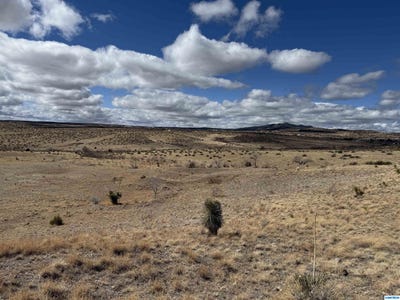 /international/us/ridge-road-silver-city-nm-110100309811/