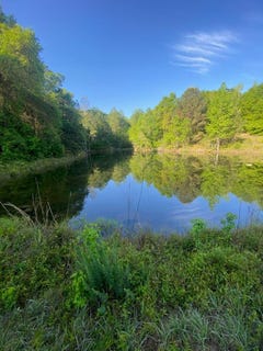 /international/us/approx-44-acres-county-rd-67-midland-city-al-110098909855/