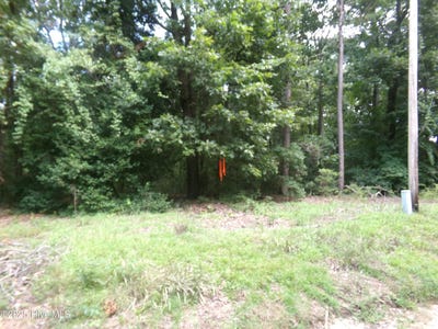 /international/us/plantation-road-lot-37-elizabethtown-nc-110105016787/