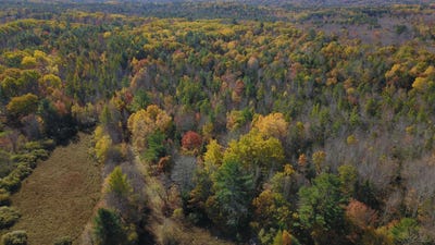 /international/us/washington-road-lot-51-b-waldoboro-me-110120736511/