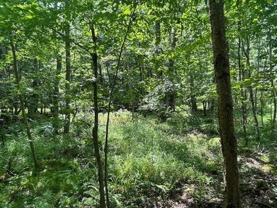 /international/us/204-bauer-rd-averill-park-ny-110100706431/