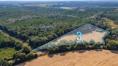 /international/us/3-acre-e-prescott-rd-florala-al-110103026189/