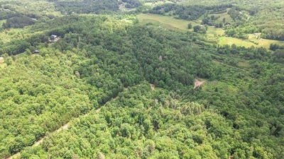 /international/us/168-amber-overlook-turtletown-tn-110101097107/?lang=zh-cn