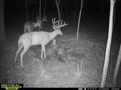 /international/us/448-candy-run-houston-hollow-rd-lucasville-oh-110101117867/