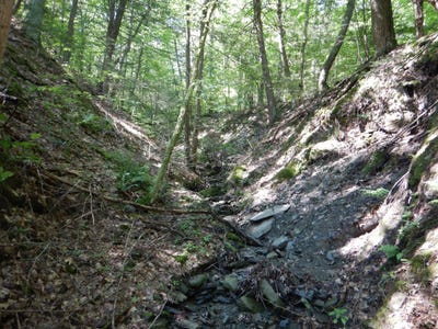 /international/us/starks-road-newfield-ny-110108061979/