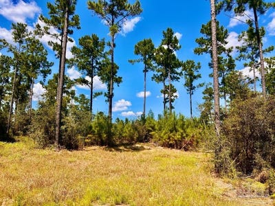 /international/us/morgans-branch-lot-1-molino-fl-110102619055/