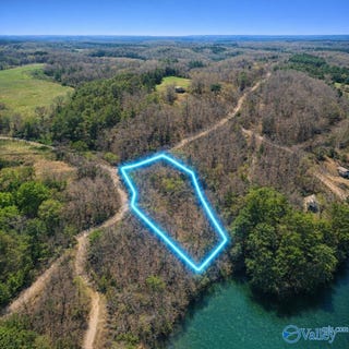 /international/us/7-county-road-880-crane-hill-al-110108027034/