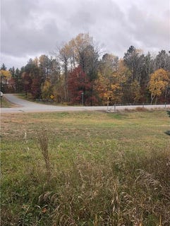 /international/us/11-county-rd-11-breezy-point-mn-110098127729/