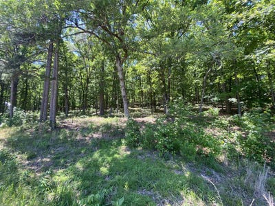 /international/us/215-watersedge-drive-edgemont-ar-110108022518/